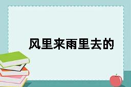 风里来雨里去的反义词