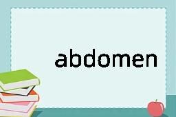 abdomen是什么意思