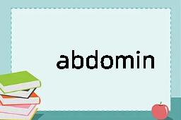 abdominous是什么意思