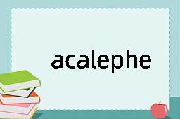 acalephe是什么意思