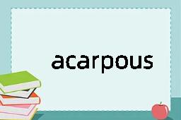 acarpous是什么意思