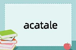 acatalectic是什么意思