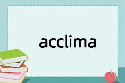 acclimatise是什么意思