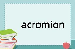 acromion是什么意思