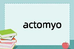 actomyosin是什么意思