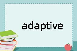 adaptive是什么意思