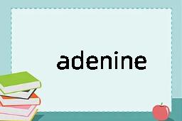 adenine是什么意思