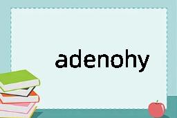 adenohypophysis是什么意思