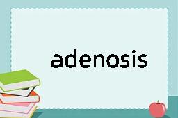 adenosis是什么意思