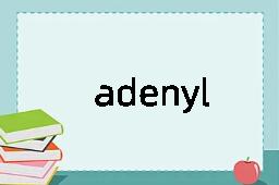 adenyl是什么意思