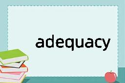 adequacy是什么意思