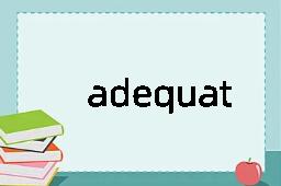 adequately是什么意思