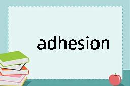 adhesion是什么意思