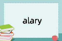 alary是什么意思