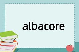 albacore是什么意思