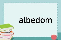 albedometer是什么意思