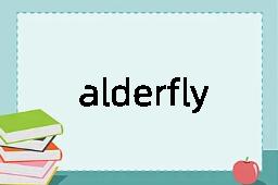 alderfly是什么意思