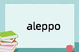 aleppo是什么意思