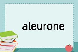 aleurone是什么意思