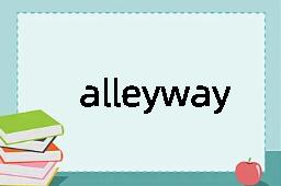 alleyway是什么意思