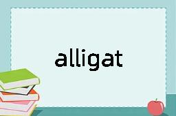 alligator是什么意思