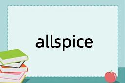 allspice是什么意思