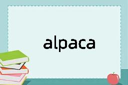 alpaca是什么意思