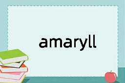 amaryllis是什么意思