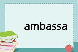 ambassador是什么意思