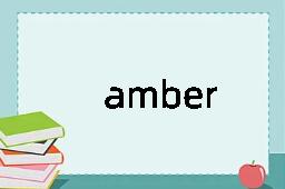 amber是什么意思