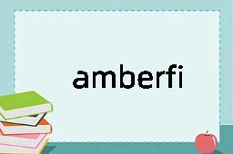 amberfish是什么意思