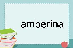 amberina是什么意思