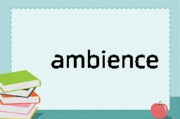 ambience是什么意思