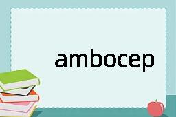 amboceptor是什么意思