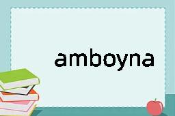 amboyna是什么意思