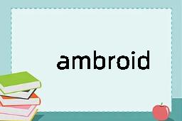 ambroid是什么意思