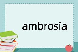 ambrosia是什么意思