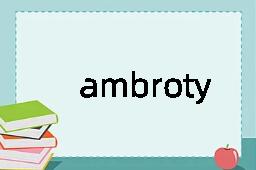 ambrotype是什么意思