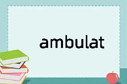 ambulation是什么意思