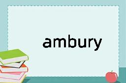 ambury是什么意思