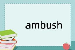 ambush是什么意思