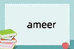 ameer是什么意思