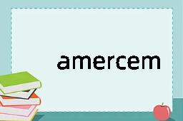 amercement是什么意思