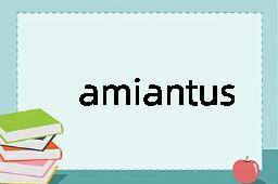 amiantus是什么意思