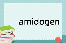 amidogen是什么意思