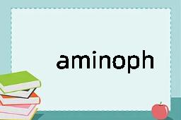 aminophenol是什么意思