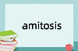 amitosis是什么意思