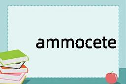 ammocete是什么意思