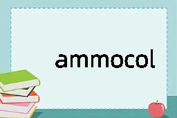 ammocolous是什么意思