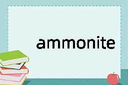 ammonite是什么意思